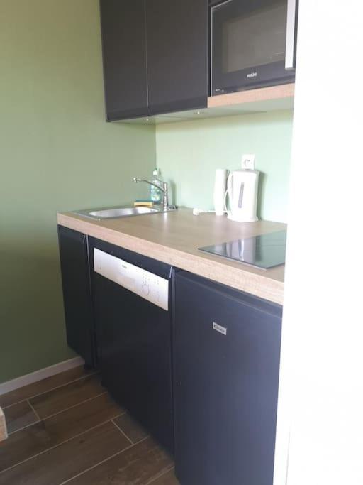 Apartamento Au Pied Des Pistes Avec Parking Entierement Renove Huez Exterior foto